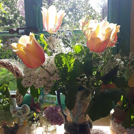 Chez Cathy Bed & Breakfast Arzier ภายนอก รูปภาพ
