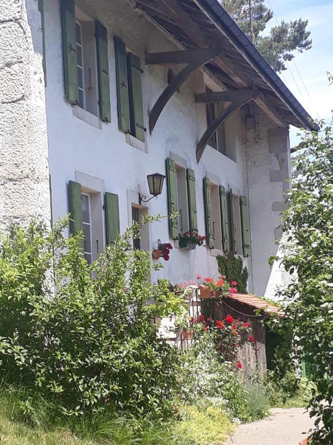 Chez Cathy Bed & Breakfast Arzier ภายนอก รูปภาพ