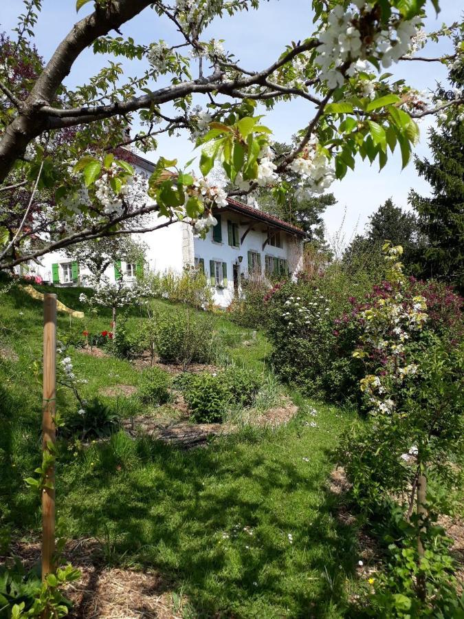 Chez Cathy Bed & Breakfast Arzier ภายนอก รูปภาพ