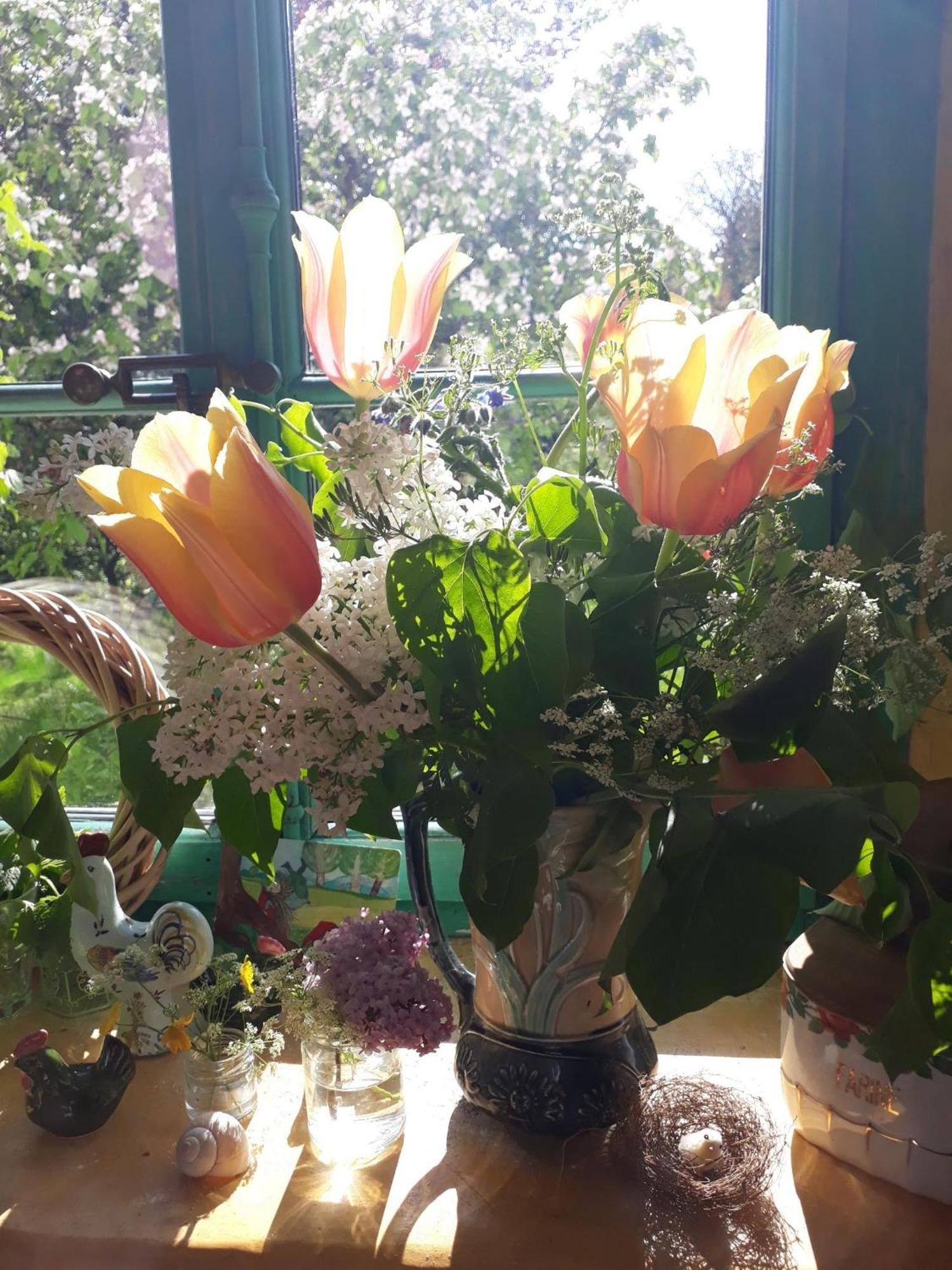Chez Cathy Bed & Breakfast Arzier ภายนอก รูปภาพ